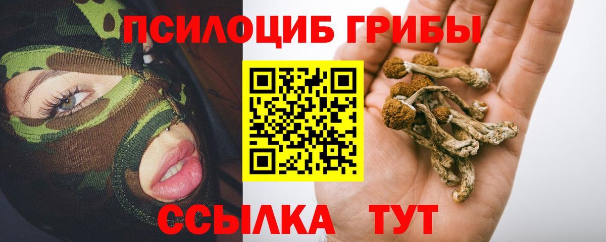 Галлюциногенные грибы MAGIC MUSHROOMS  Вход с VPN  Северск 