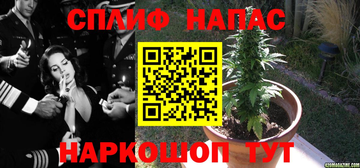 Шишки марихуана OG Kush Северск